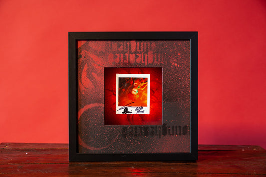 ORIGINAL POLAROID 10